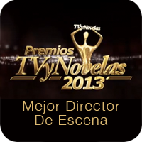 Premios TV y Novelas 2013: Mejor Director De Escena