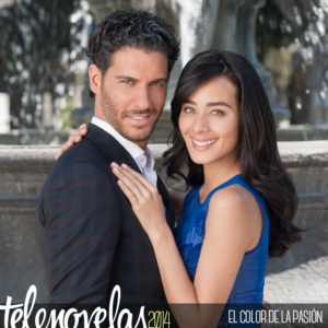 Telenovelas 2014: El Color De La Pasión