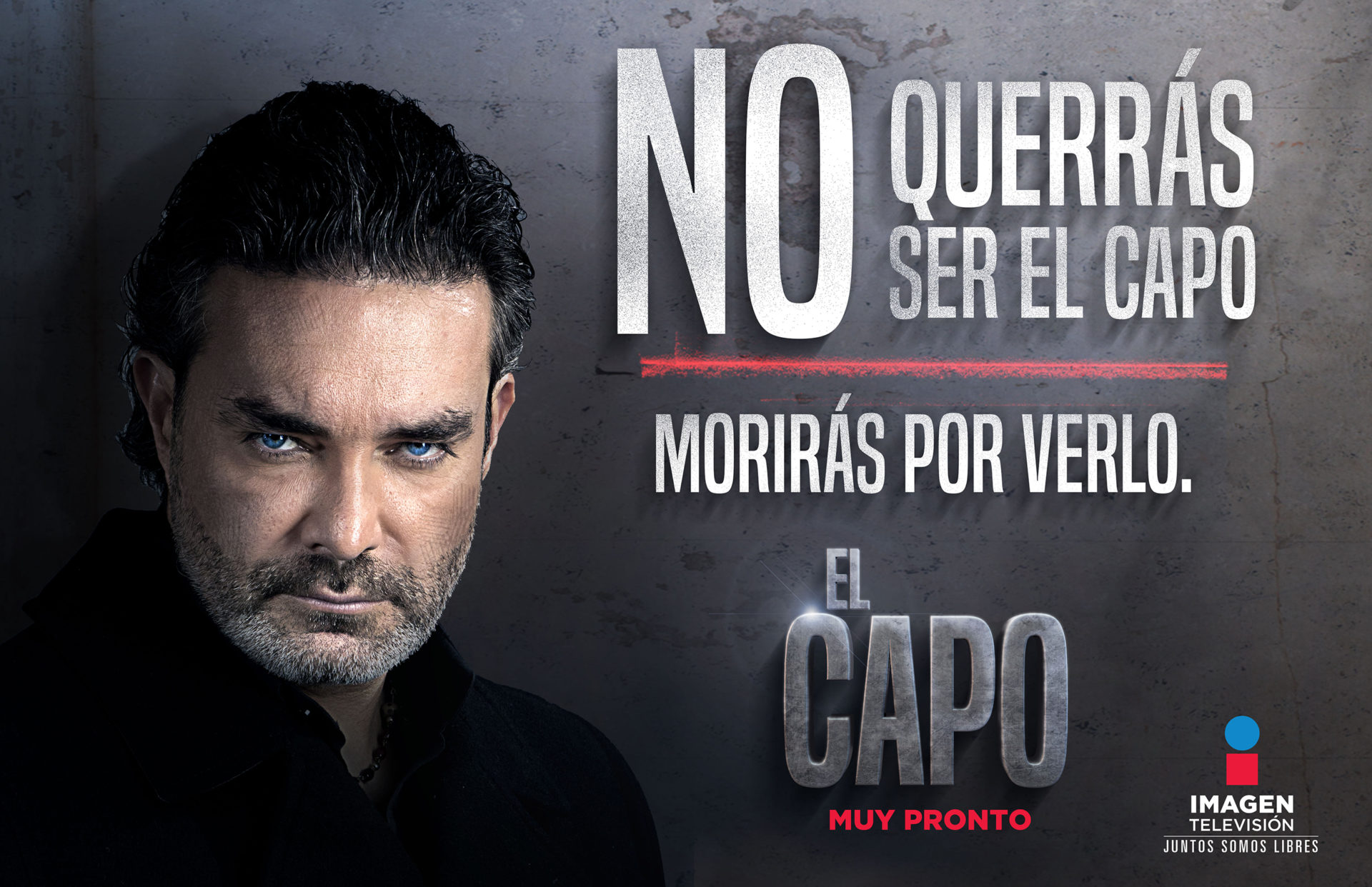 Conoce La Historia De ‘El Capo’, Lo Nuevo De Imagen TV NovelaLounge